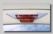 aa_Austin-Healey 3000 MkII BJ7 badge