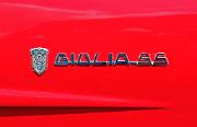 aa Alfa Romeo Guilia 1600 SS badge