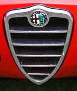 ab Alfa Romeo 1750 1968 Spider Veloce grille