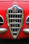 ab Alfa Romeo Guilia Spider 1600 grille