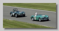 Aston Martin DB3 and Austin-Healey 100