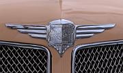 aa Buick Model 58 1934 McLaughlin Victoria badgem