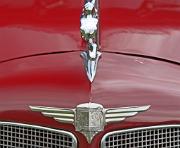 aa Buick Model Sixty-One 1935 Club Sedan badgem