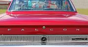 aa Ford Falcon 1964 Sprint V8 badgef