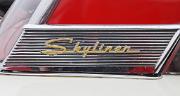 aa Ford Galaxie 1959 Skyliner badges