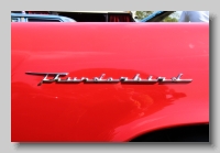 aa_Ford Thunderbird 1957 badgea