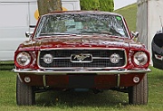 ac Ford Mustang 1967 390 GTA fastback head