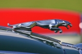  Jaguar 240 ornament