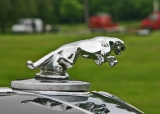  Jaguar Mk V 3.5litre