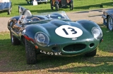  Go to an album of the Jaguar D-Type