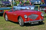  Austin-Healeys were built by Jensen after Jensen's own sports project was rejected by Austin.  Click here for an album of Austin-Healeys:  http://www.simoncars.co.uk/ah/3000/100.html