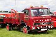 Leyland Terrier