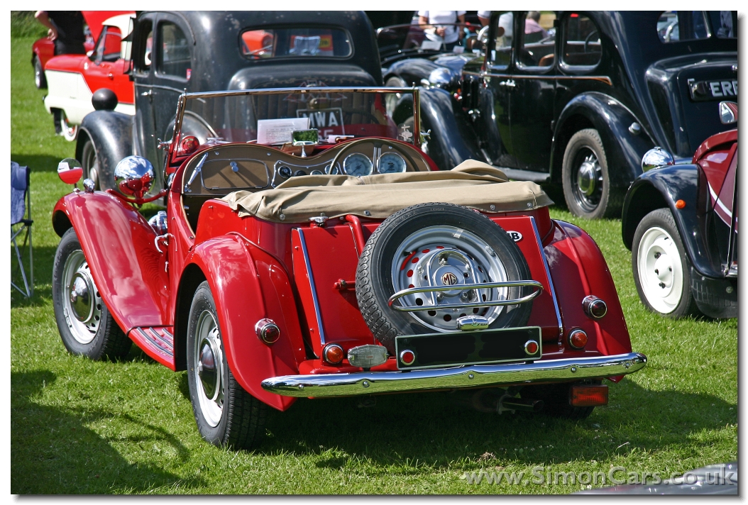 1951 Mg Td Weight Loss