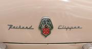 aa Packard Clipper 1954 2601 2-door Sedan badge