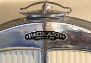 aa Packard Six 1928 Model 533 badge