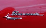 aa Plymouth Barracuda 1967 Hardtop 273 badge
