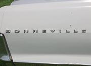 aa Pontiac Bonneville 1965 Convertible badgeb
