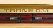 Pontiac Firebird 1979 Trans Am