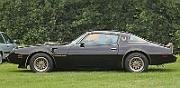 Pontiac Firebird Trans Am 1979