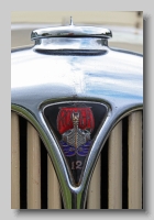 aa_Rover 12 badge